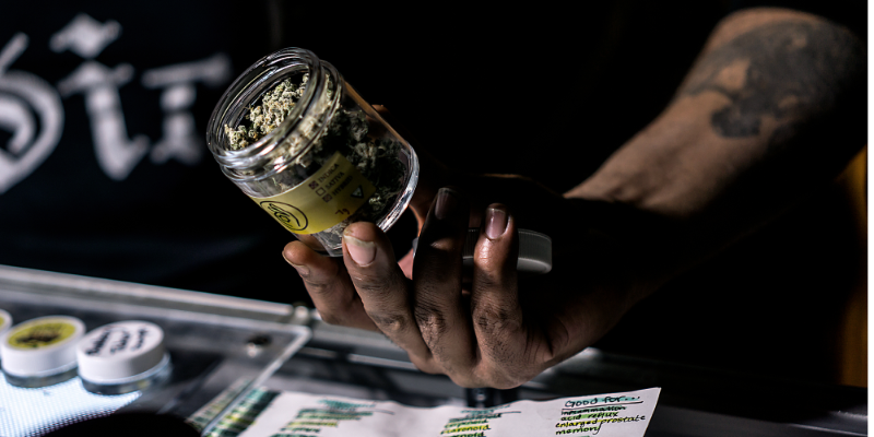 How much does a cannabis worker make? Your salary guide