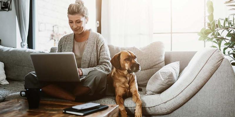 7 reasons to work from home